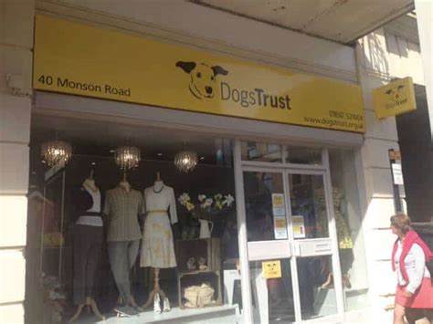 dogs trust charity shop